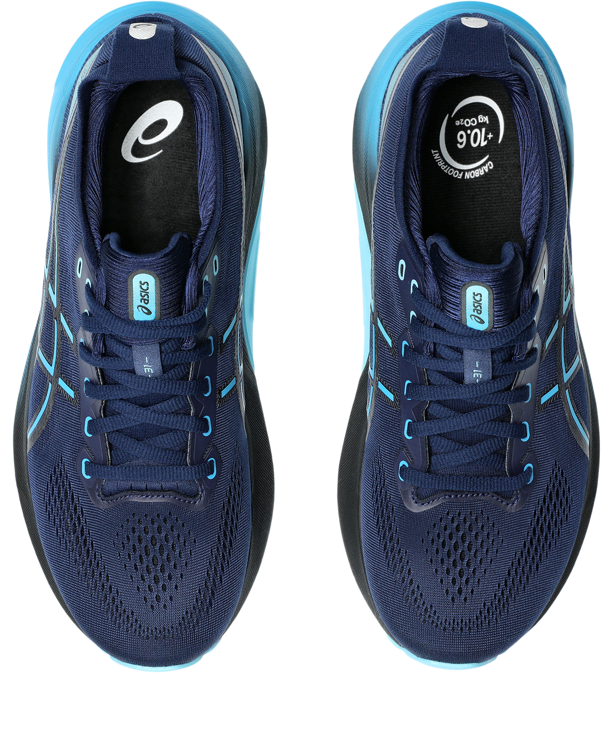 Asics Men's Gel-Kayano 31